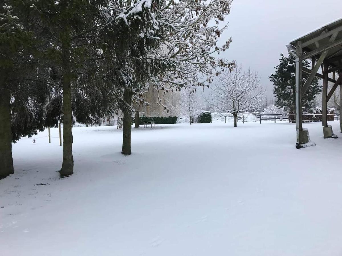 Ferme De La Forterie Verlinghem Zewnętrze zdjęcie