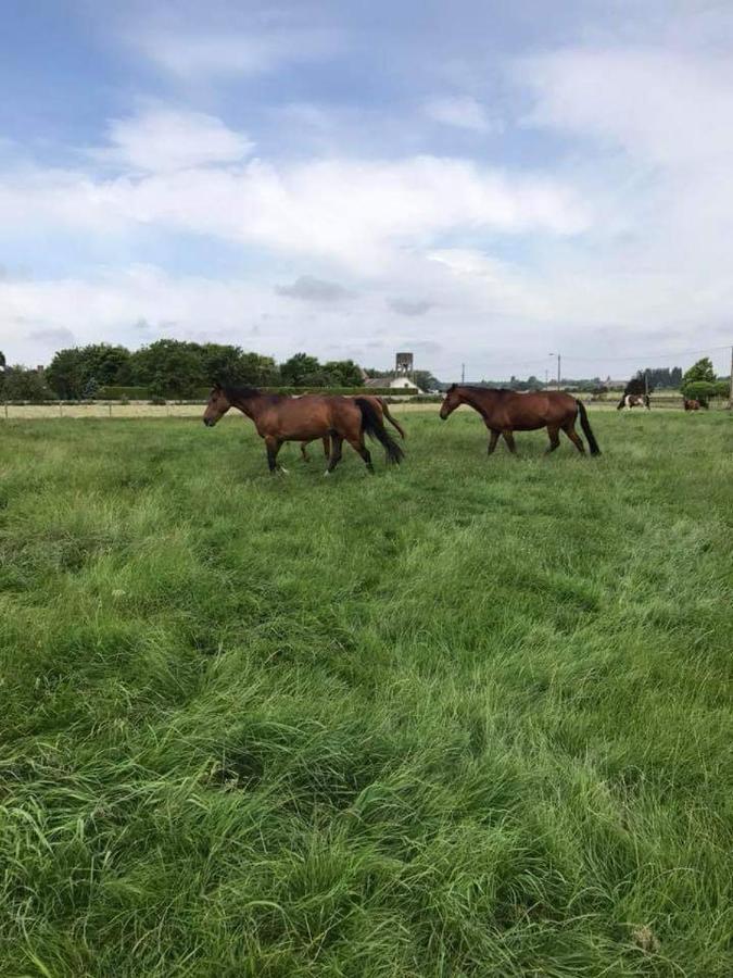 Ferme De La Forterie Verlinghem Zewnętrze zdjęcie