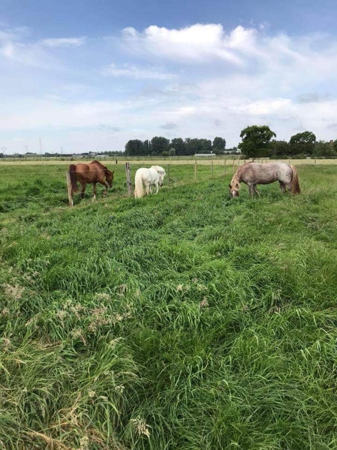 Ferme De La Forterie Verlinghem Zewnętrze zdjęcie